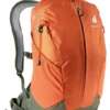 DEUTER AC LITE 17 Paprika Khaki -Snowboard Gear Shop eng pm backpack deuter ac litei 17 paprika khaki 2021 22 7505 5